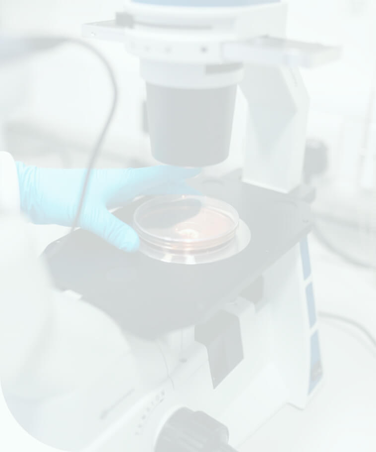 Cross Ethnics Genome Wide Meta-Analysis